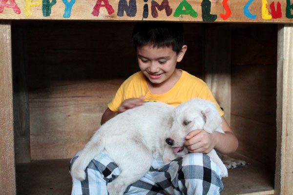 Happy Animals Club, Animal Shelter